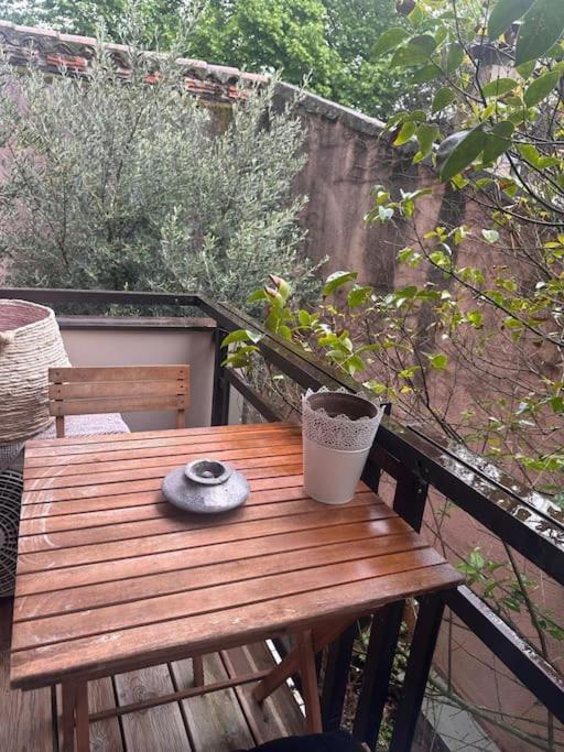 Апартаменти Jardin Des Plantes Parking Securise Terrasse Et Ascenseur Тулуза Екстер'єр фото